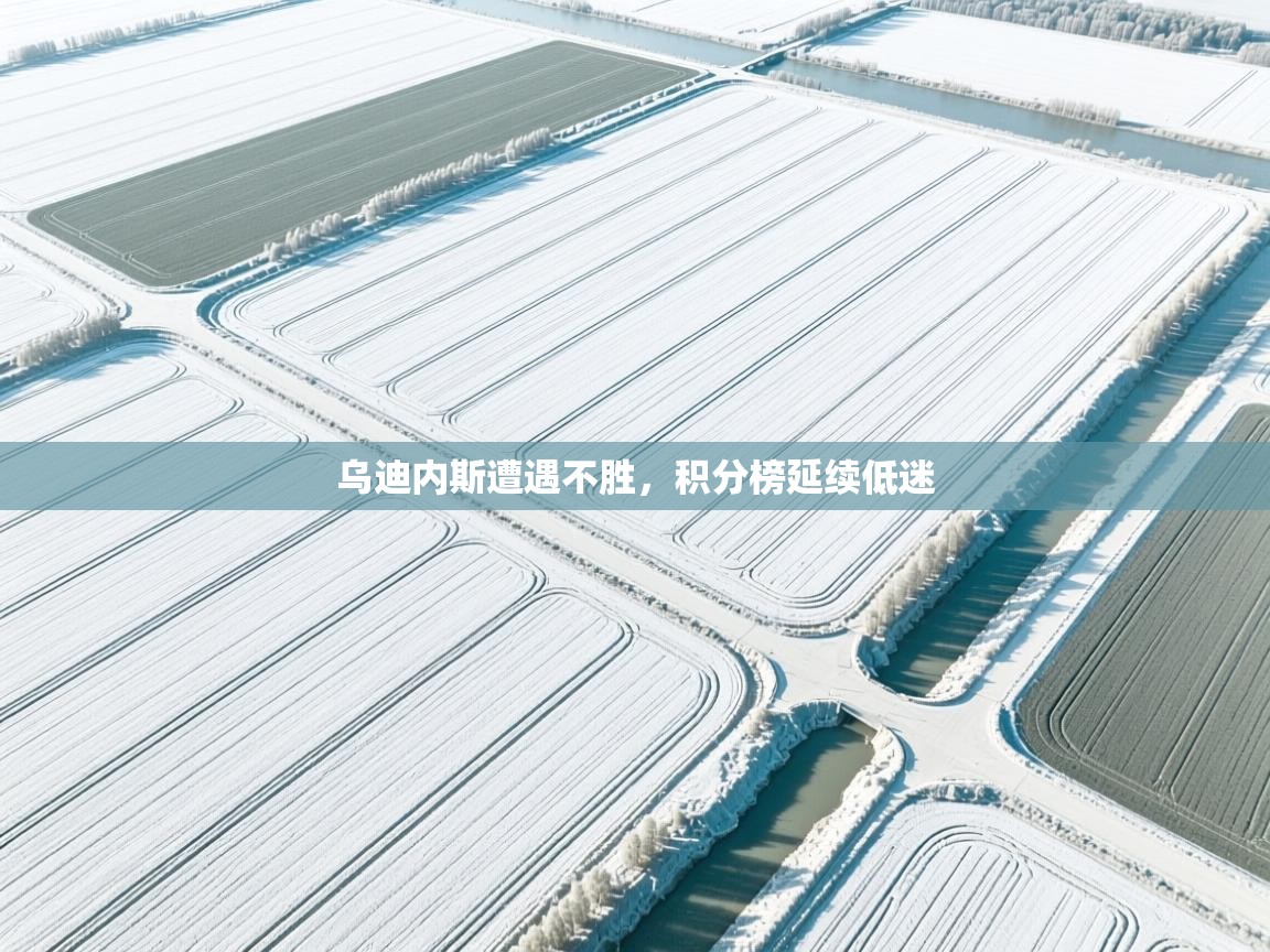 乌迪内斯遭遇不胜，积分榜延续低迷  第2张