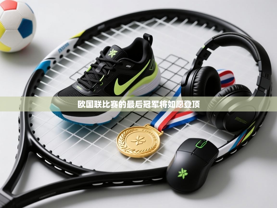 欧国联比赛的最后冠军将如愿登顶  第2张