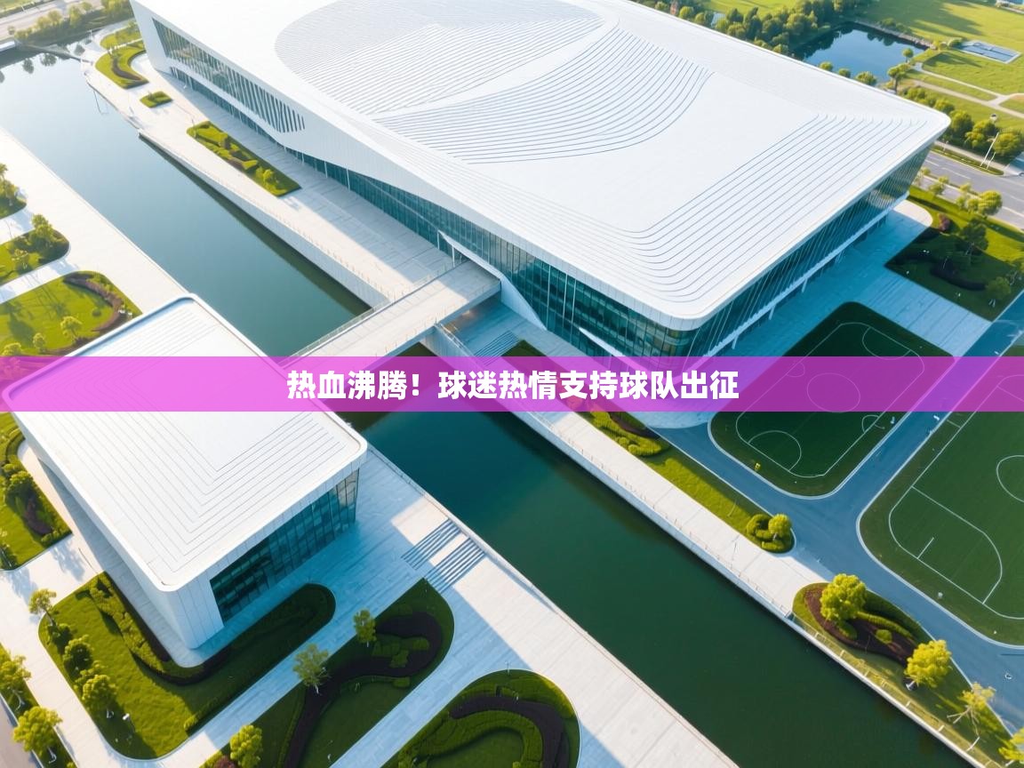 热血沸腾！球迷热情支持球队出征