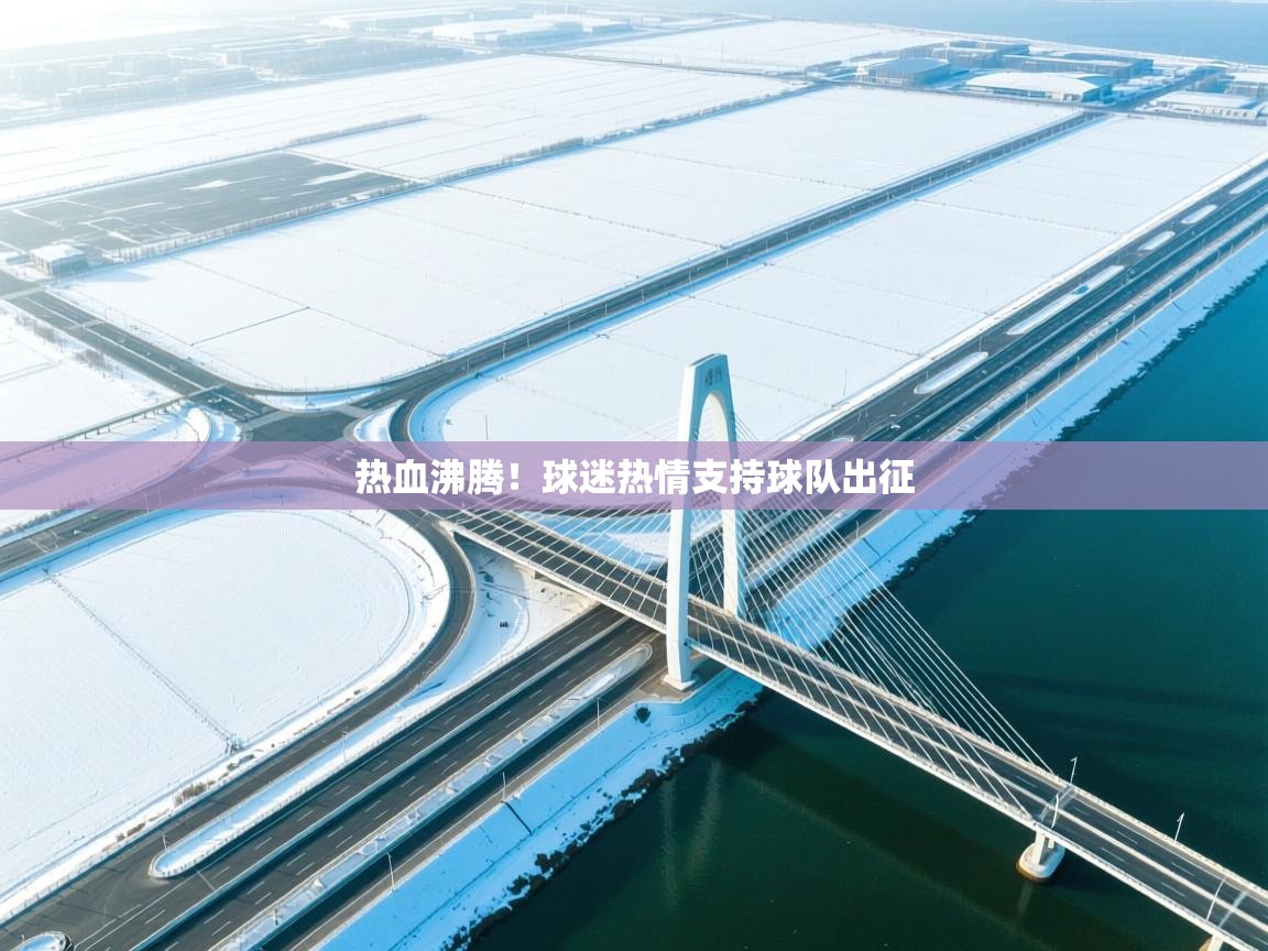 热血沸腾！球迷热情支持球队出征  第2张