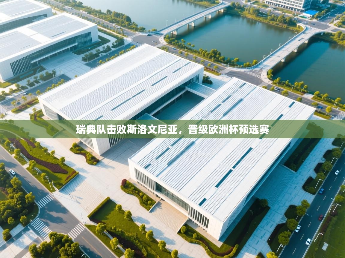 瑞典队击败斯洛文尼亚，晋级欧洲杯预选赛  第1张