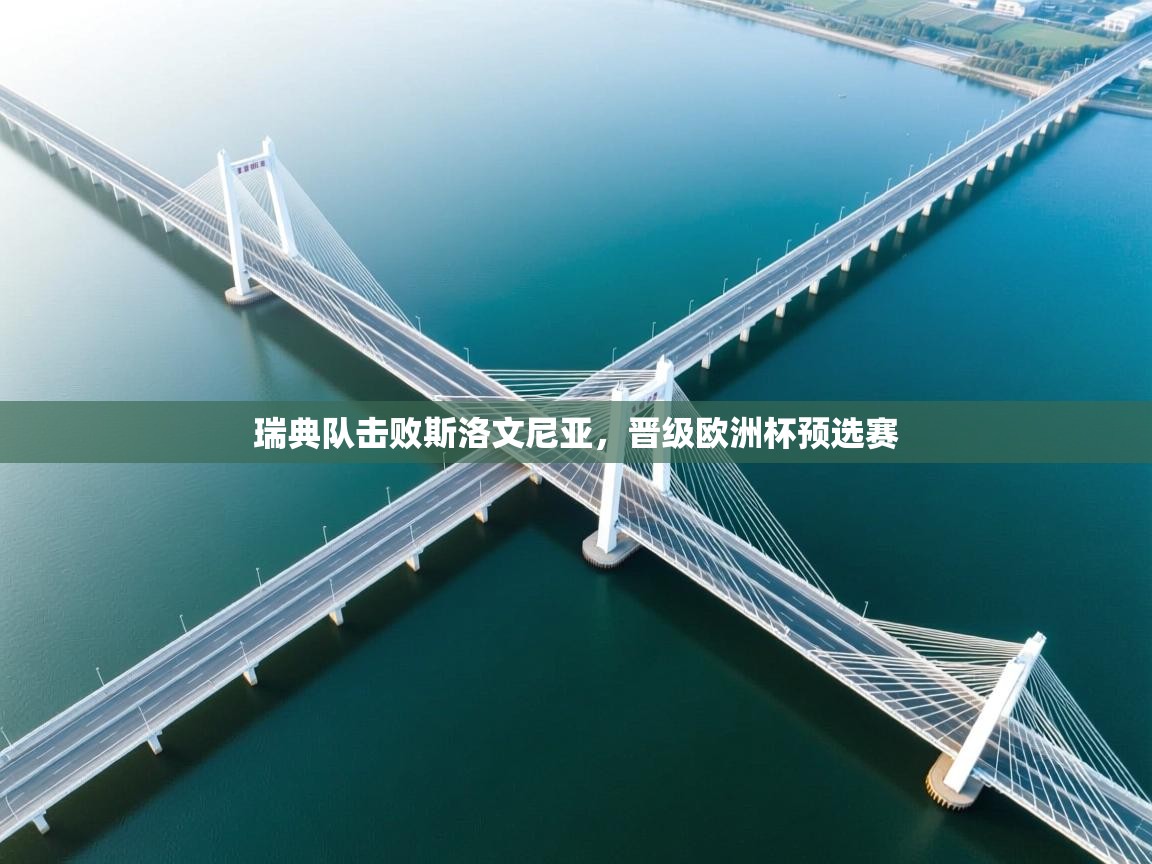 瑞典队击败斯洛文尼亚，晋级欧洲杯预选赛  第2张