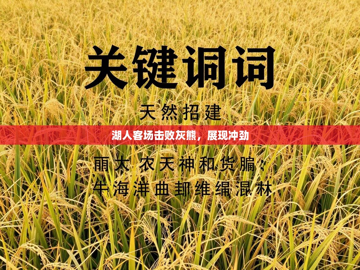 湖人客场击败灰熊,展现冲劲 第1张