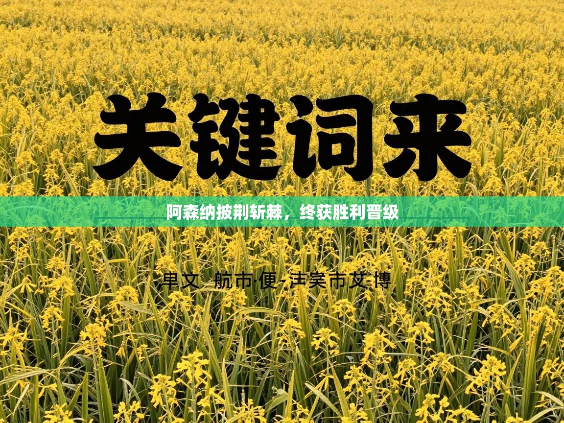 阿森纳披荆斩棘，终获胜利晋级  第1张