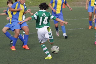 开云体育下摘-阿贾克斯惊险逆转，斩获比蒂斯惊奇胜利，阿贾克斯的比赛